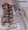 Bild9.jpg (149436 Byte)