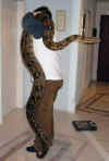 Big_Snake_7.jpg (232657 Byte)